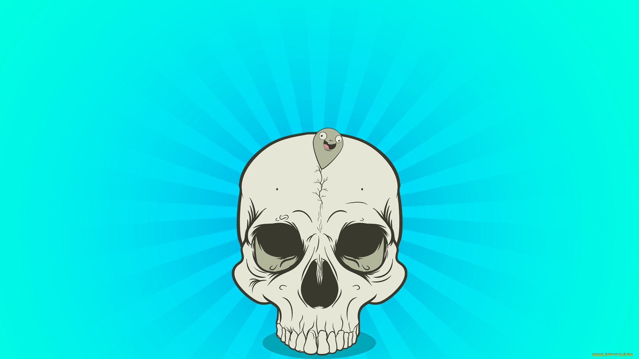 , , , , 
